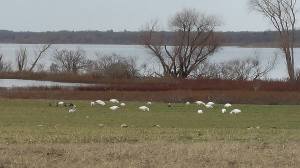 16143280_10154470630764401_6216777909625732871_n