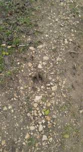 16195704_10154470630569401_3494545216678417300_n